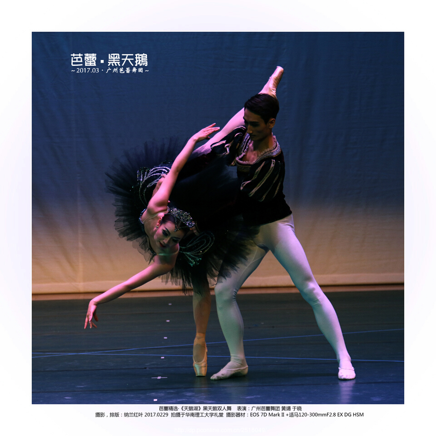 作品简介 芭蕾精选·《天鹅湖》黑天鹅双人舞    表演:广州芭蕾舞团