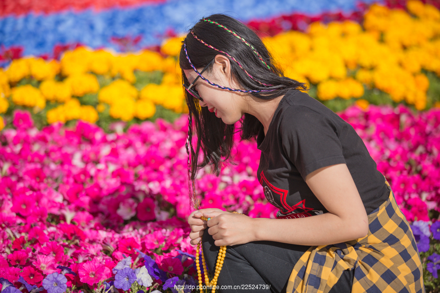 青春放歌——心上人象达玛花