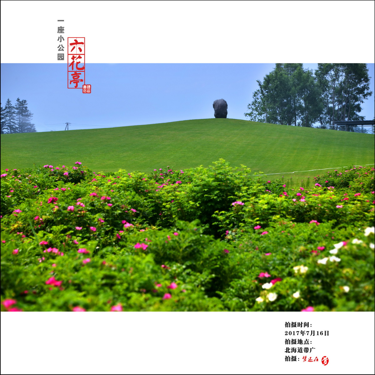 【六花亭摄影图片】生活摄影_梦还在的博客_太平洋电脑网摄影部落