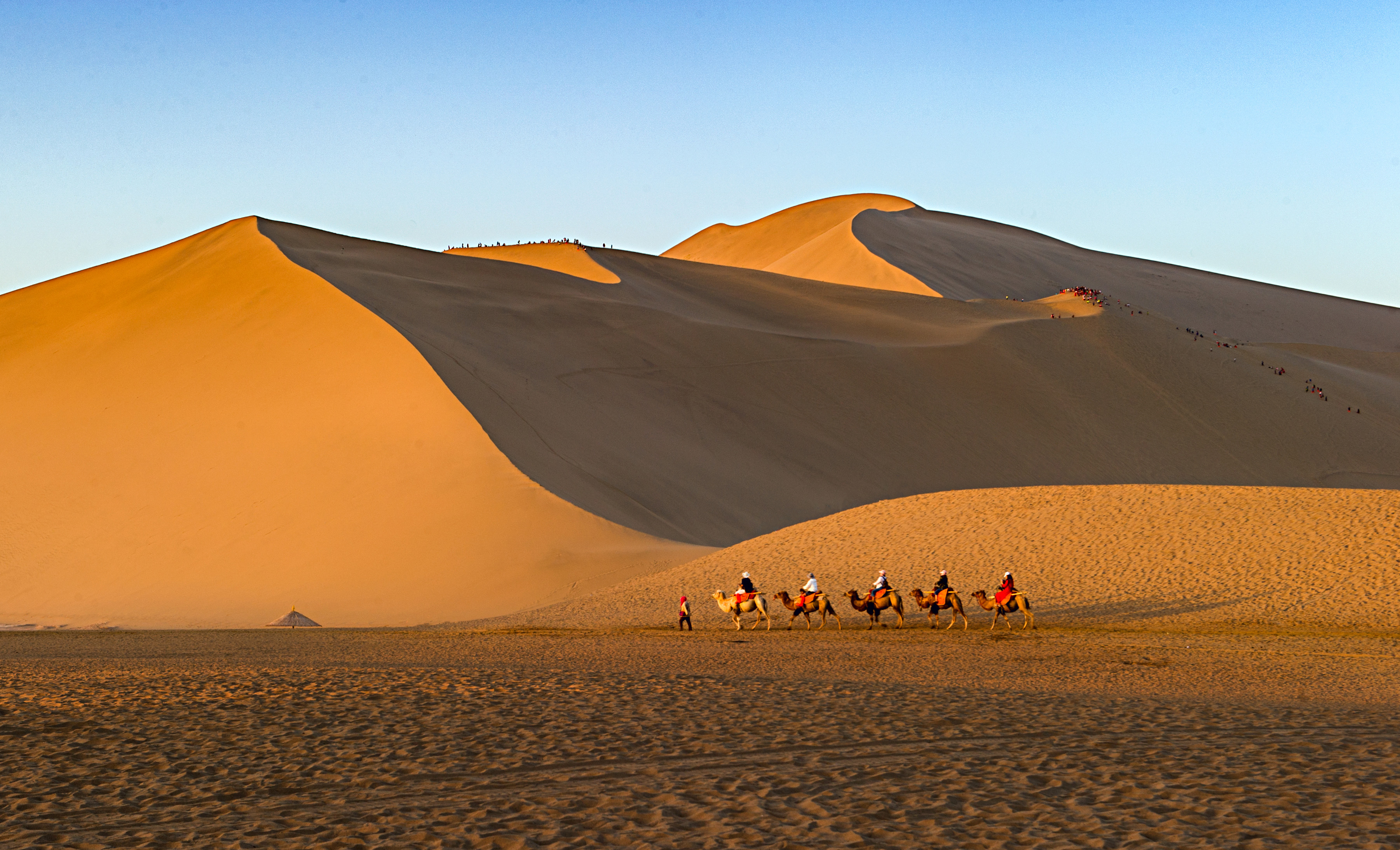 图片故事）大漠骆驼“上班”忙_鸣沙山_游客_月牙泉