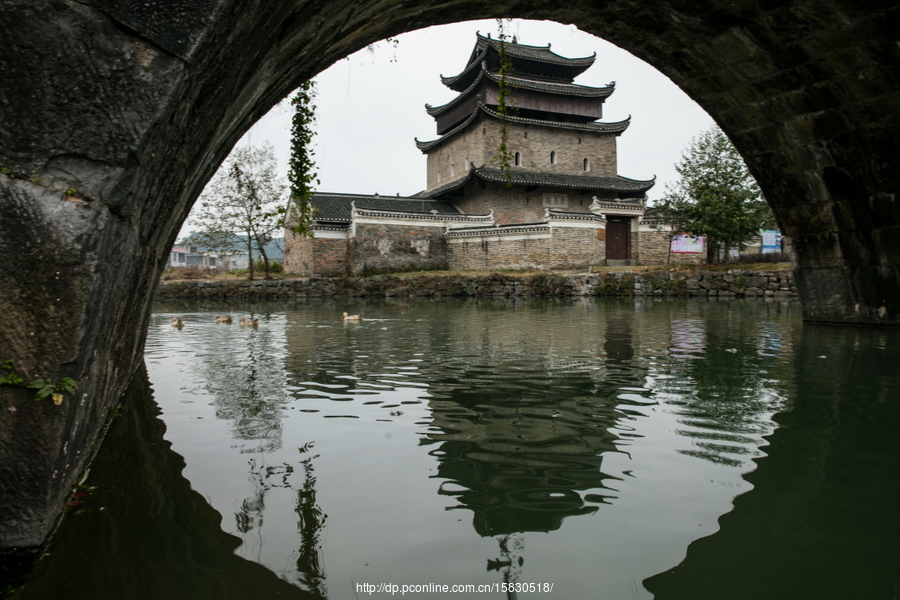 又见上甘棠