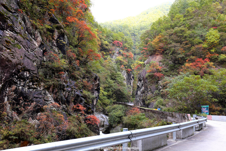 秦岭分水岭南坡峡谷 (共 14 p)