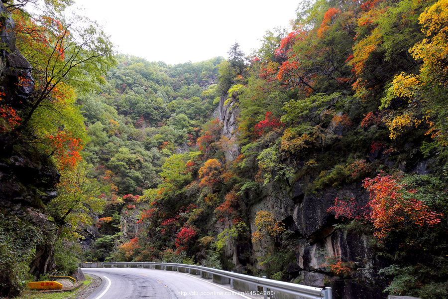 秦岭分水岭南坡峡谷