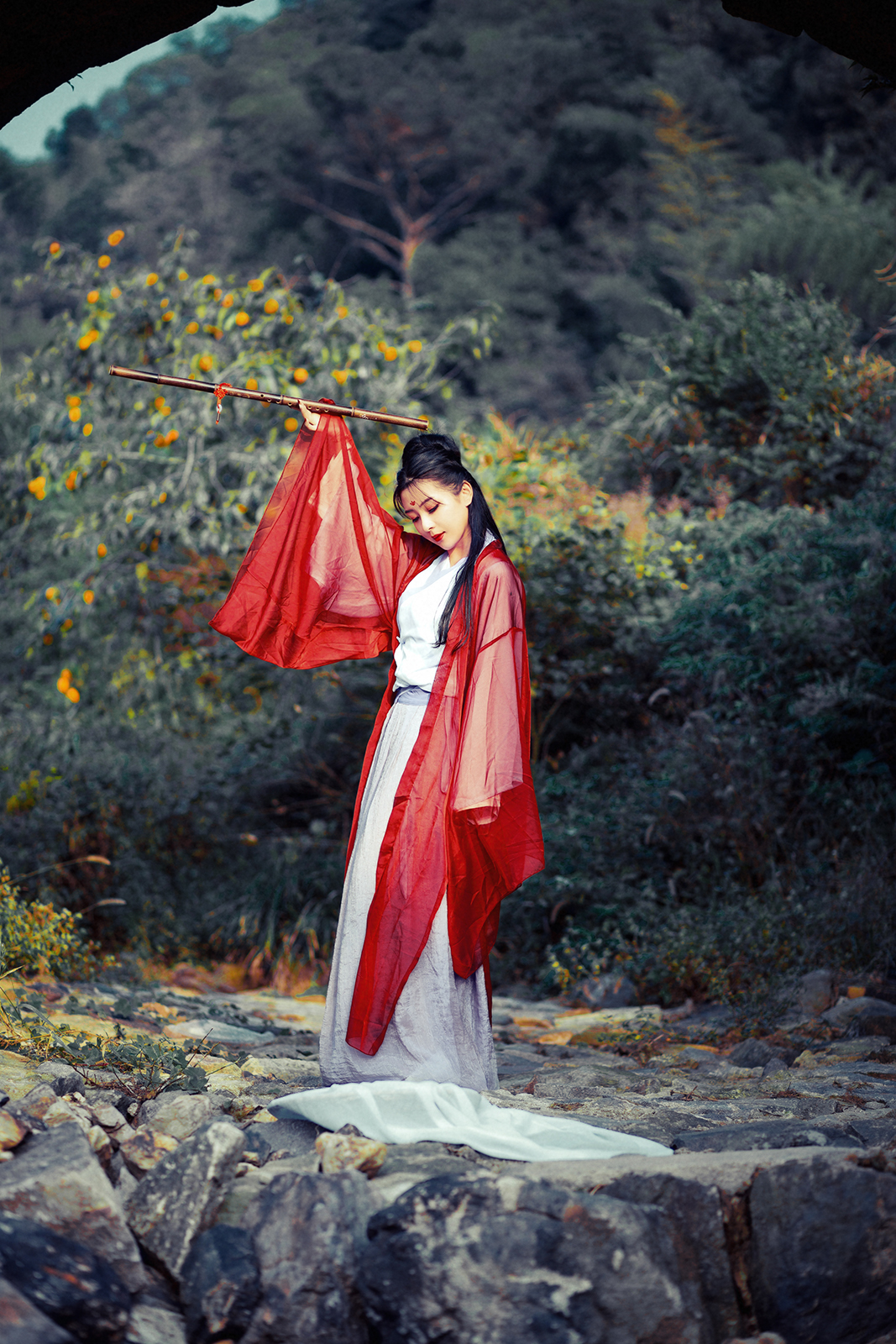 禅心渡红尘