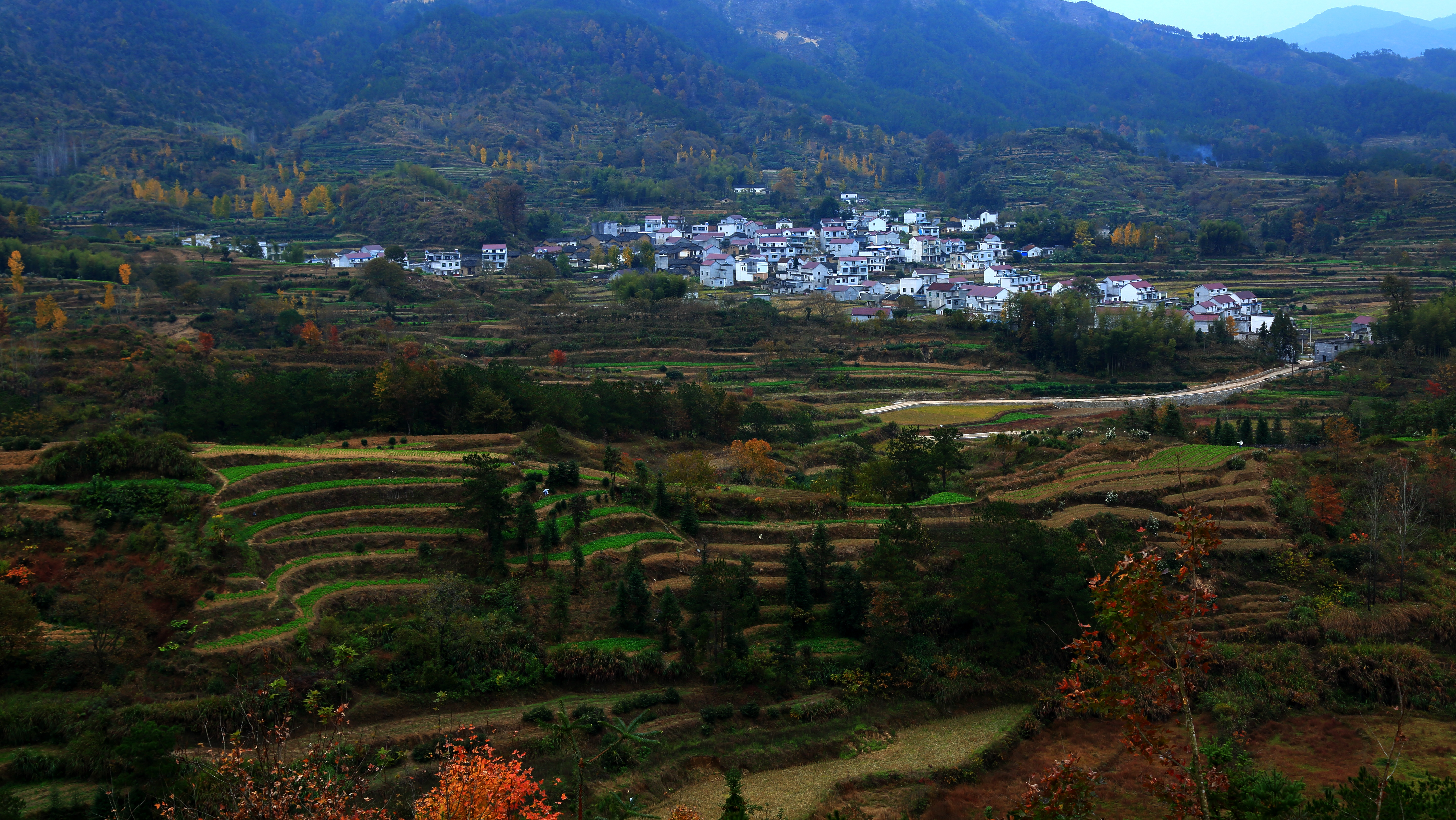 山村