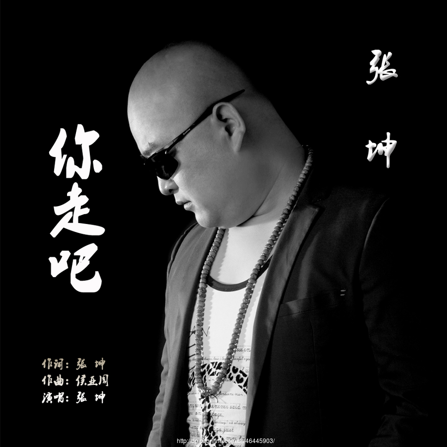 张坤 华语男歌手 歌曲封面