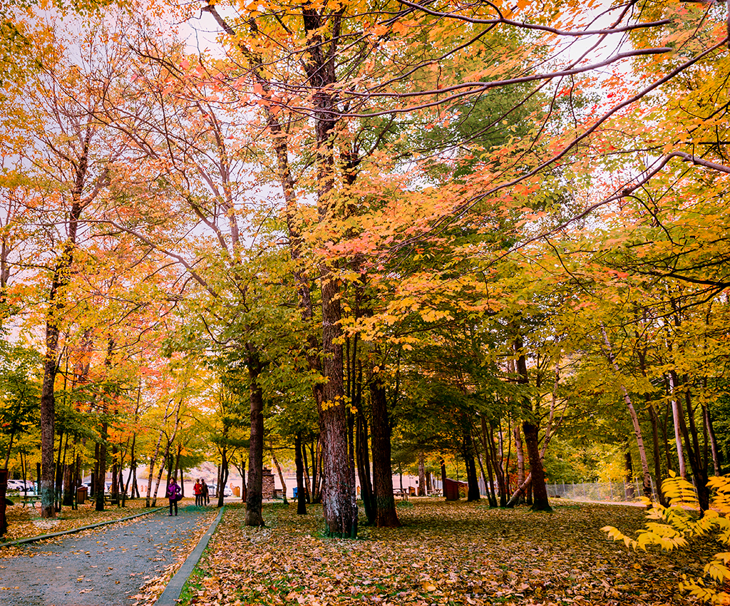 秋季即将来临 加拿大最佳赏枫地攻略_中国摄影家联盟