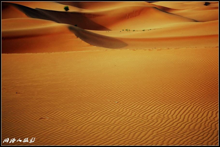 沙坡头沙漠