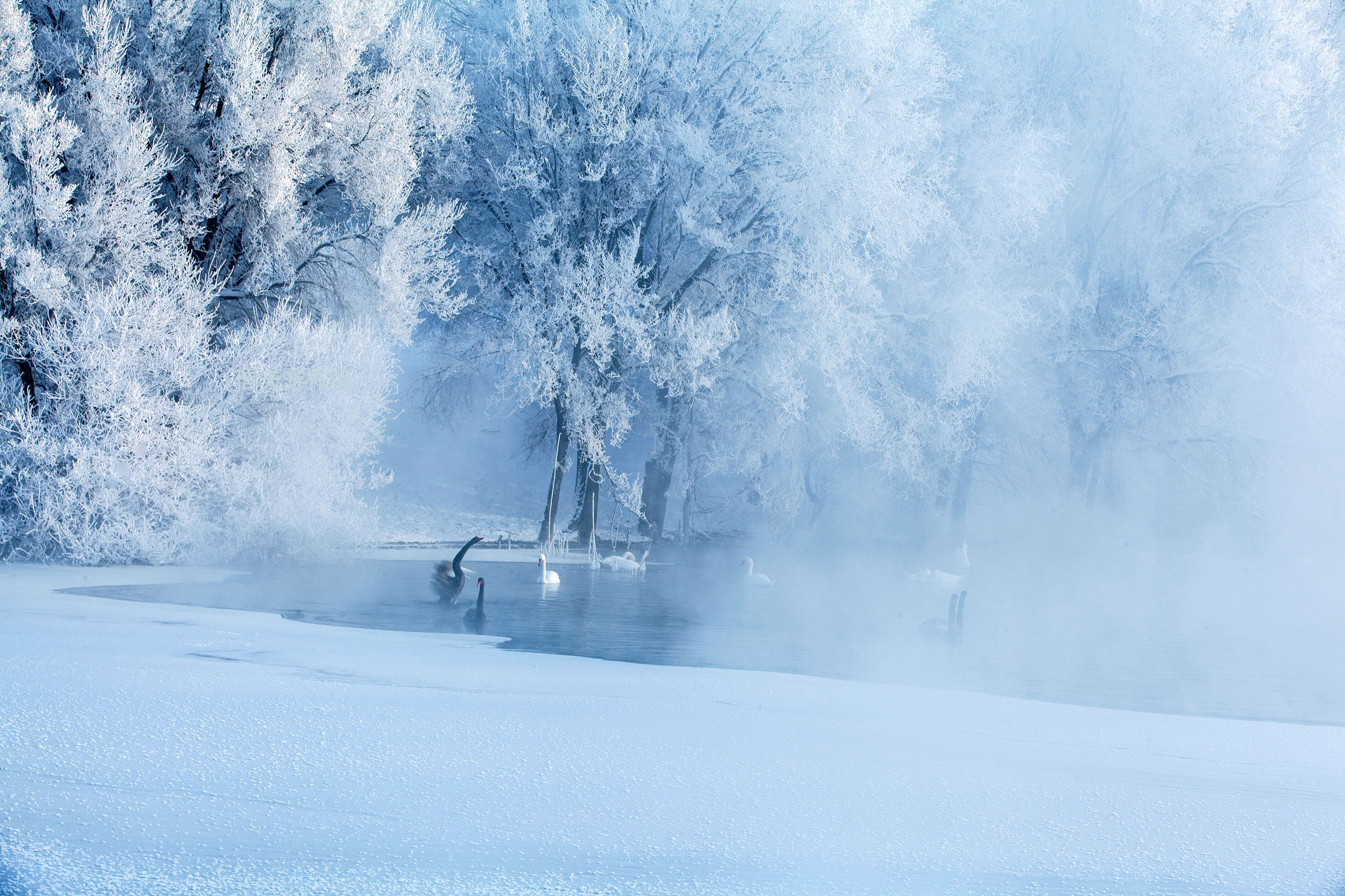 冰雪童话天鹅湖