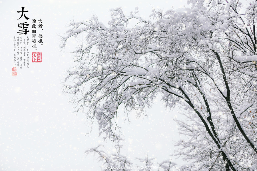 【二十四节气.大雪摄影图片】风光摄影_太平洋电脑网摄影部落