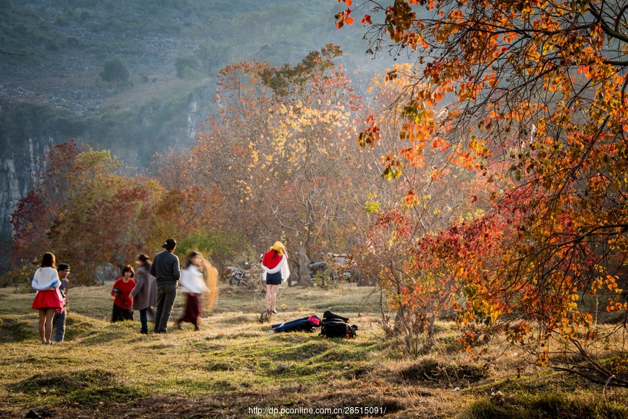 桂林风光 乌桕滩秋色