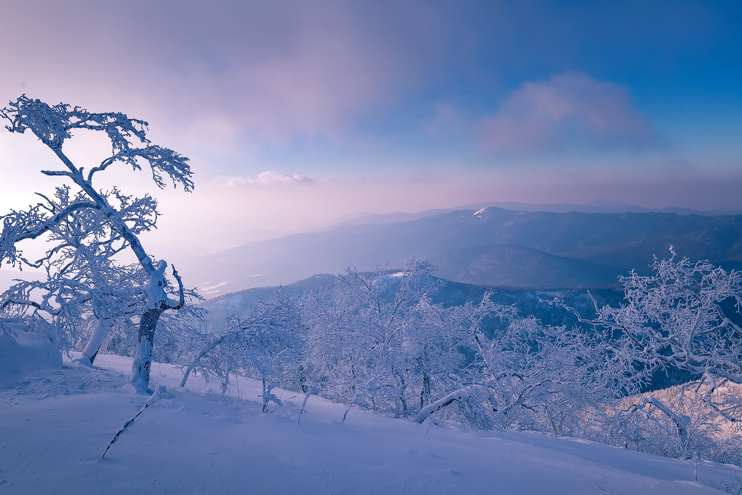 冬季雪龙顶风景