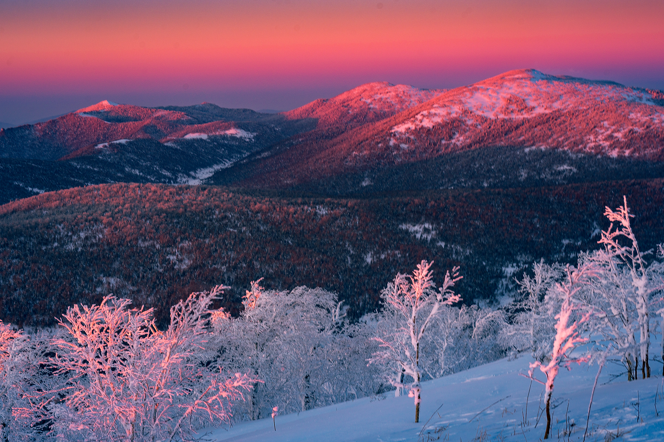 冬季雪龙顶风景