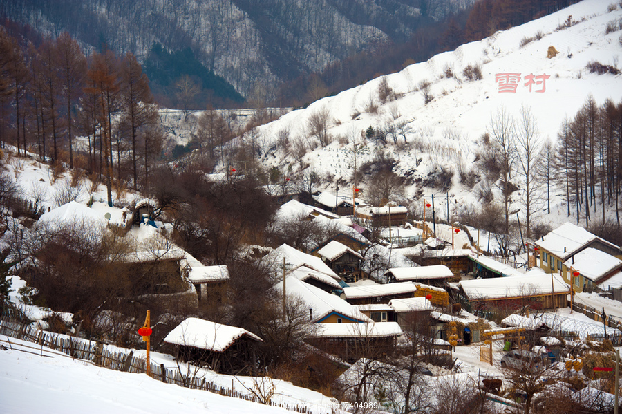 雪村风光