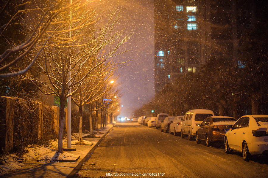 东台初雪》 (共p)