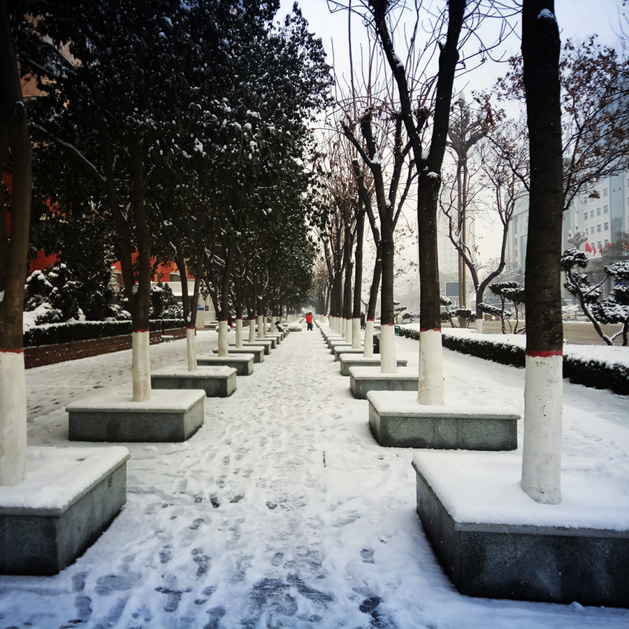 街头雪景