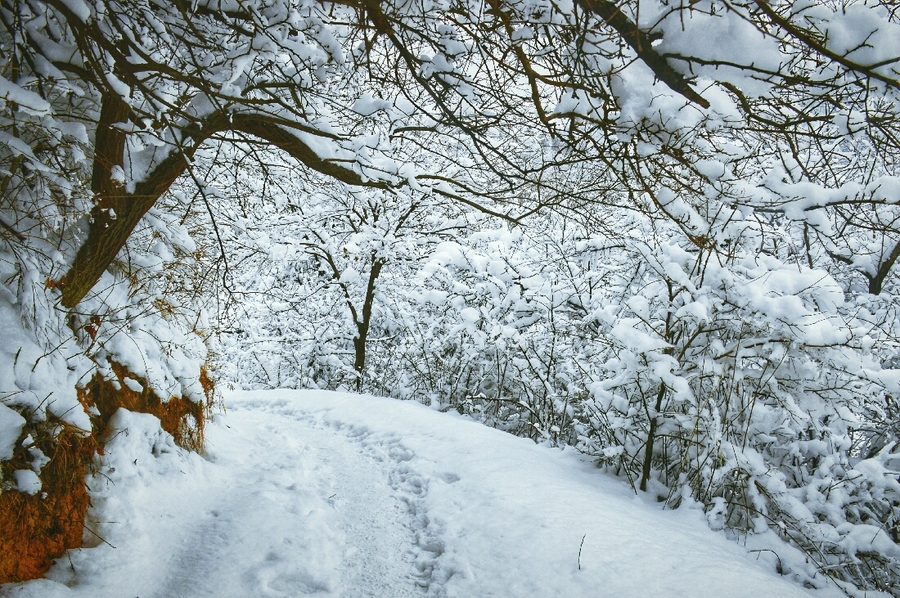 秦岭雪景