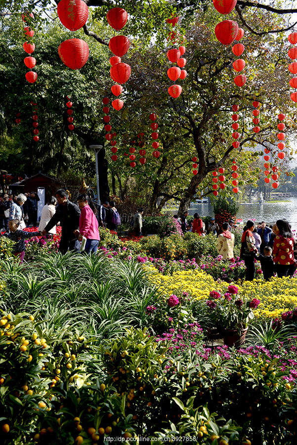 【2018荔湾水上花市摄影图片】生活摄影_太平洋电脑网摄影部落