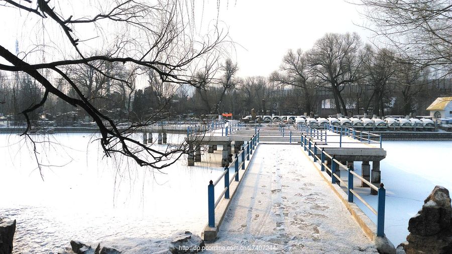 红山公园雪景(1)