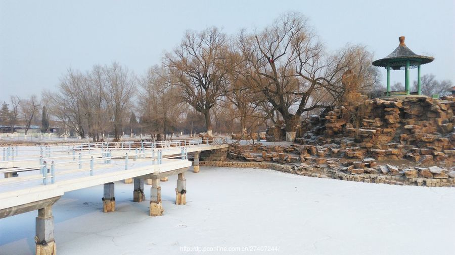 红山公园雪景(1)