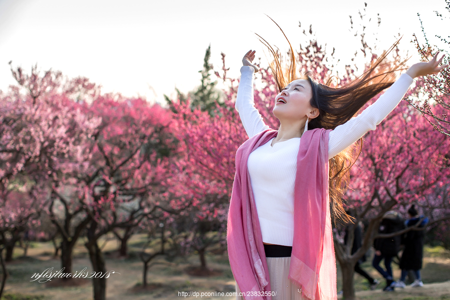 梅花山赏梅