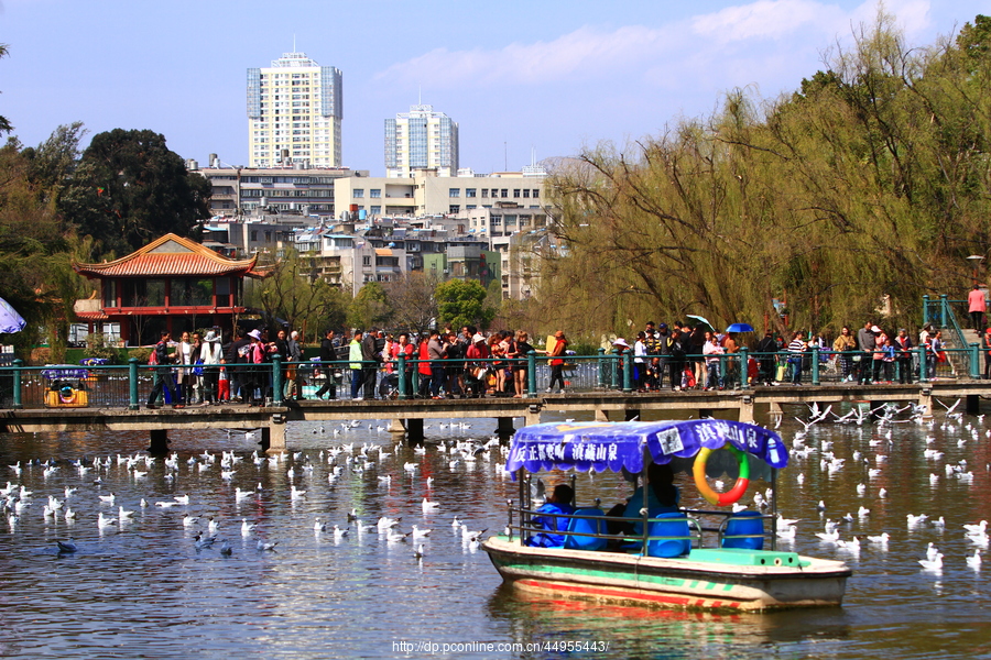 昆明翠湖公园