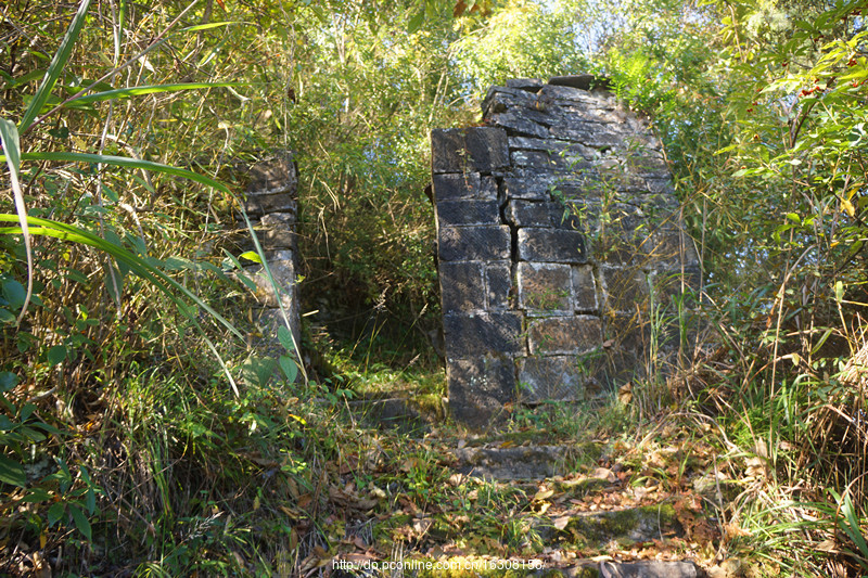 重登莲池庵