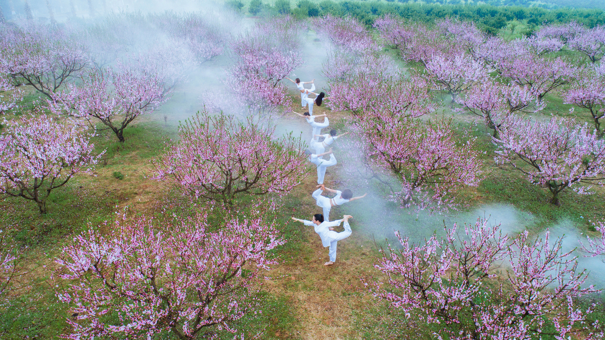 桃花园里秀瑜珈 享受春日时光