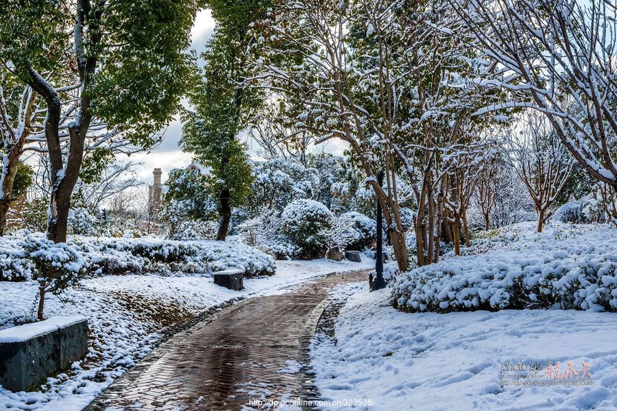 小区雪景如画(一)