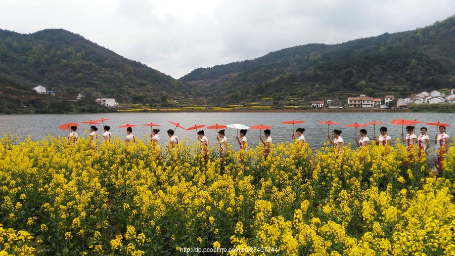 沼山乡村游