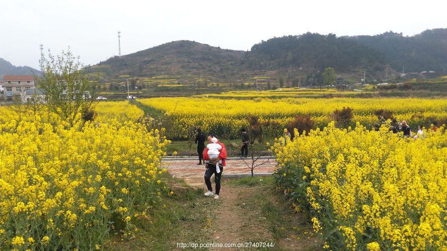 沼山乡村游