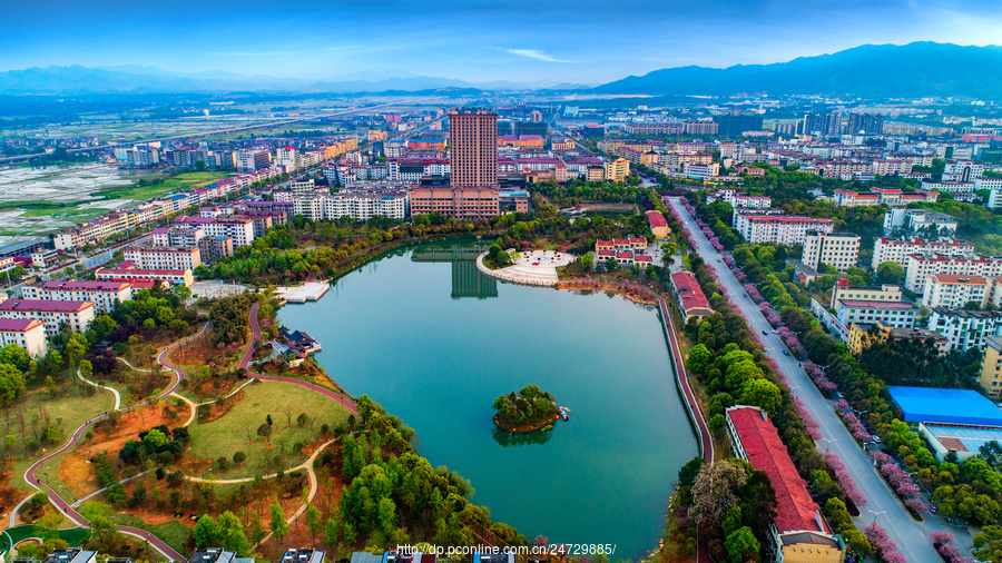 江西峡江:樱花灿漫城 街景美如画