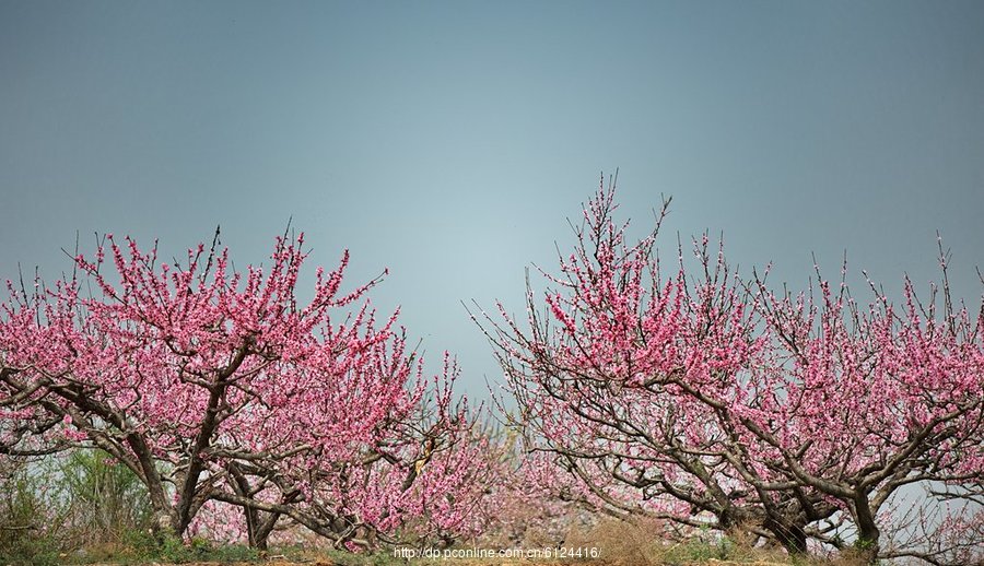 桃花岭