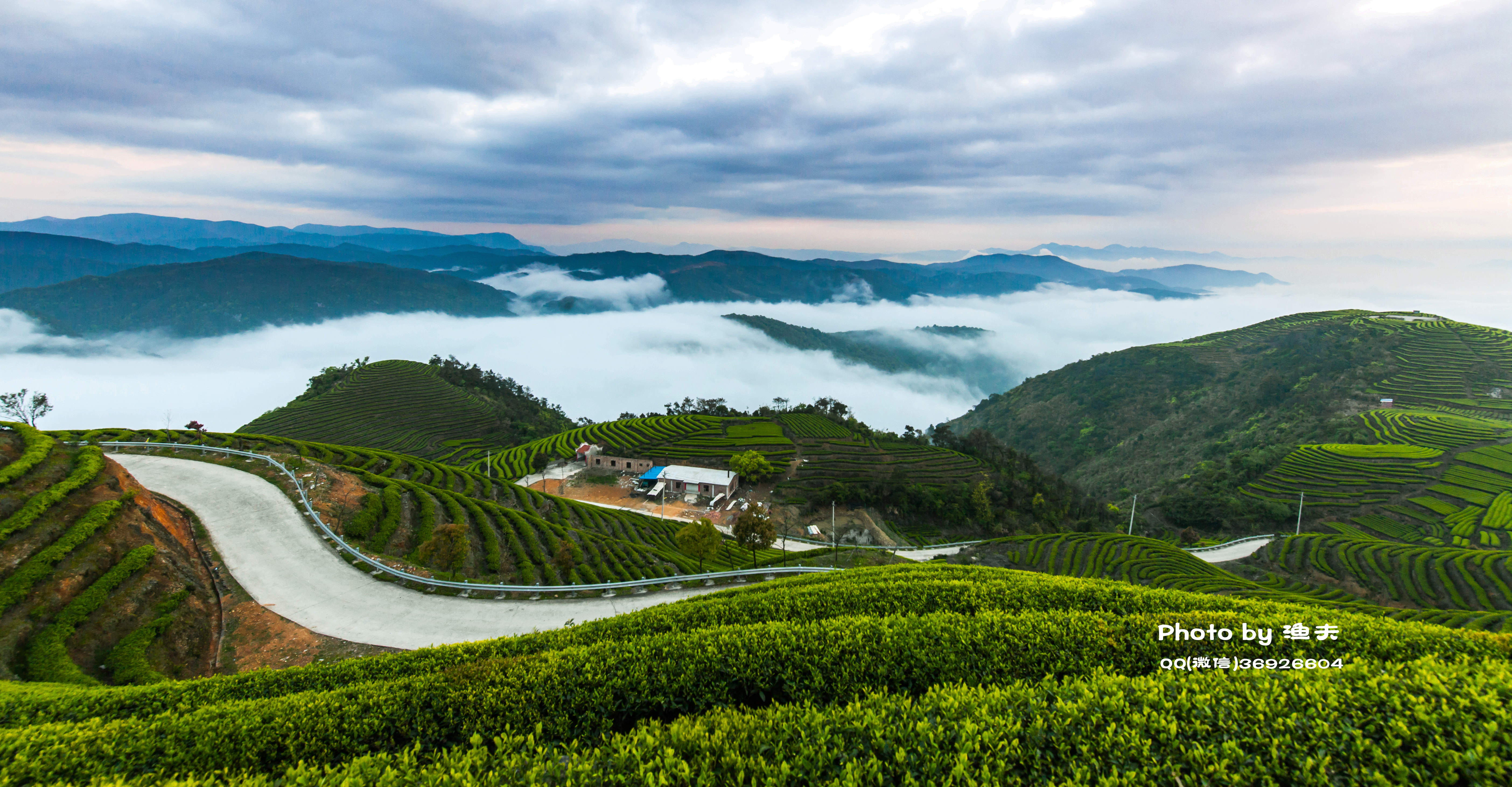 寻找中国最美茶园秘境 丨滇南风情、独特茶餐、尽享奢华高端文旅_临沧