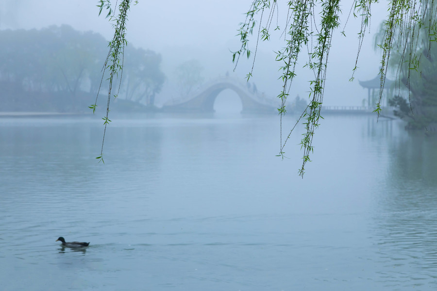 烟雨濛濛瘦西湖