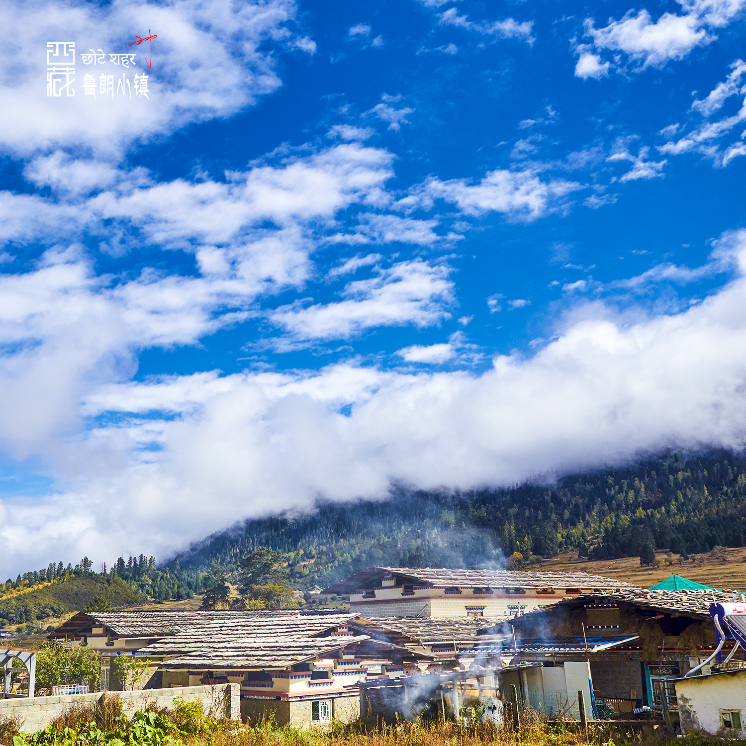 2024鲁朗国际旅游小镇游玩攻略,鲁朗小镇保留了丰富的藏族元...【去哪儿攻略】