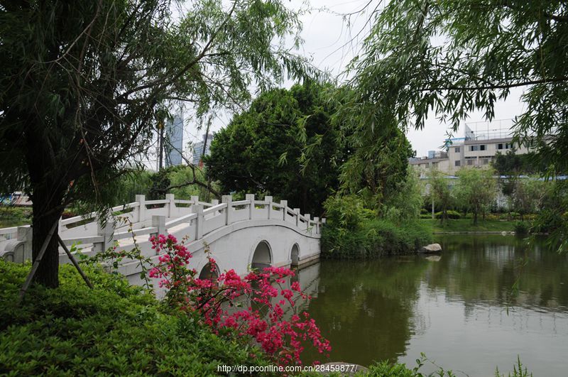 小小黎明湖公园