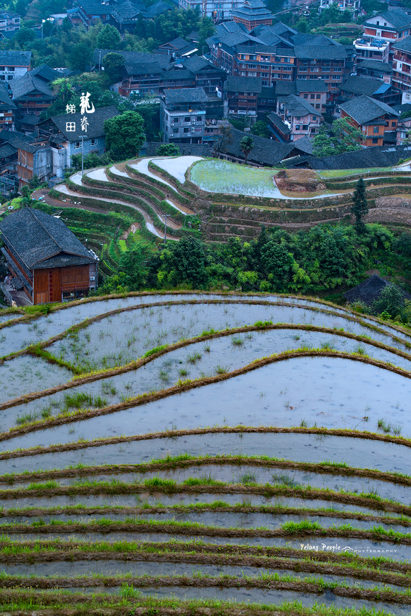 龙胜龙脊梯田