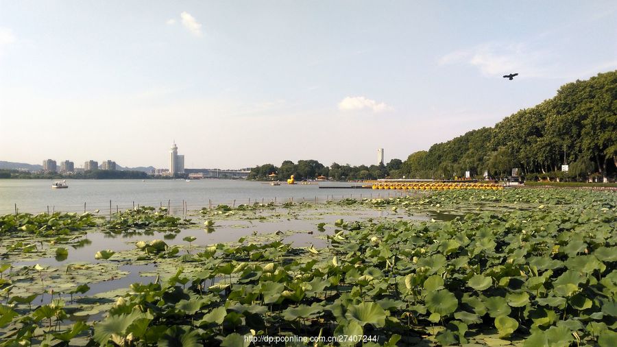 南京玄武湖公园(二)