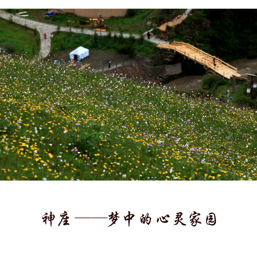 【神座--梦中的心灵家园摄影图片】风光摄影