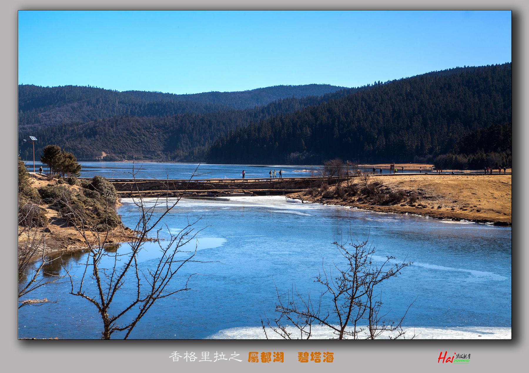 香格里拉之 属都湖与碧塔海