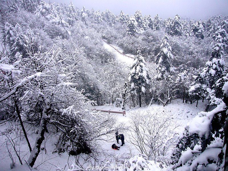 峨眉山赏雪