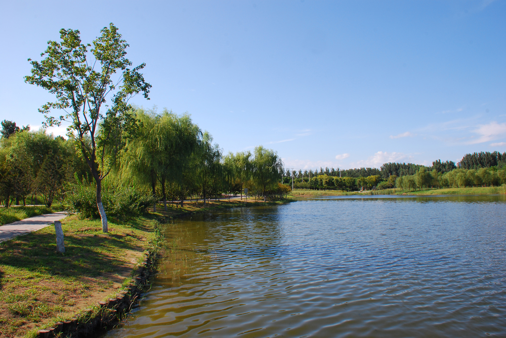 北京未来科学城滨河公园夏天风景
