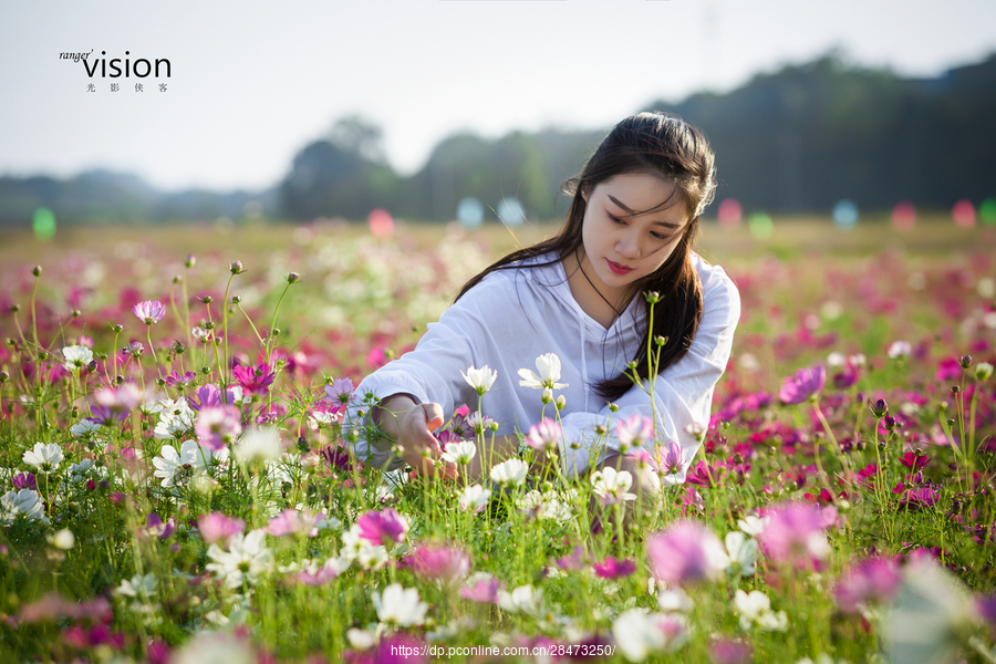 《畅游龙舌花海》 (共p)