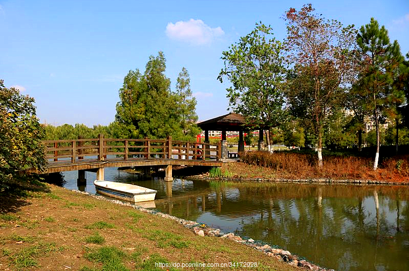 芦荡湖湿地公园