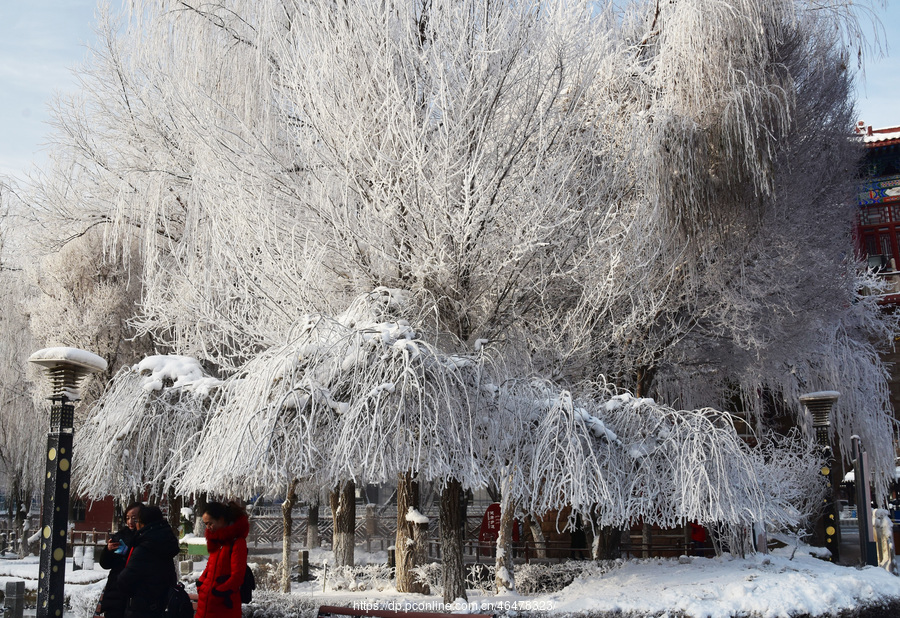 水磨沟公园雪景2018.12 (共 12 p)