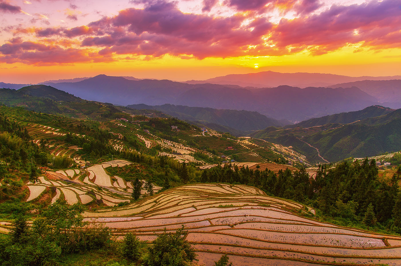 山背花瑶梯田