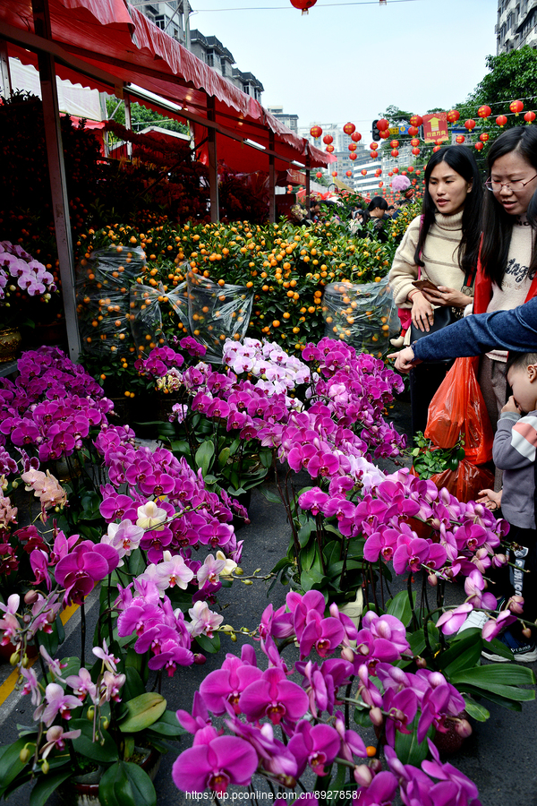 迎春花市