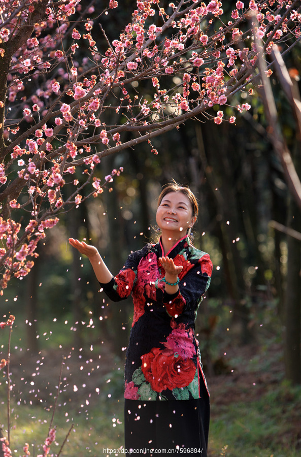 梅花恋