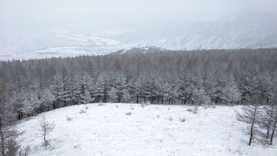 林海雪原(二)